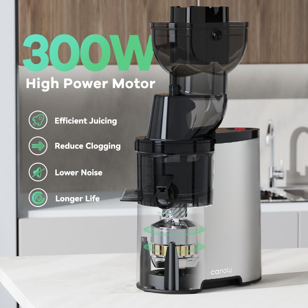 Masticating Juicer, 300W Professional Slow Juicer with 3.5-inch (88mm) Large Feed Chute for Nutrient Fruits and Vegetables, Cold Press Electric Juicer Machines with High Juice Yield, Easy Cleaning